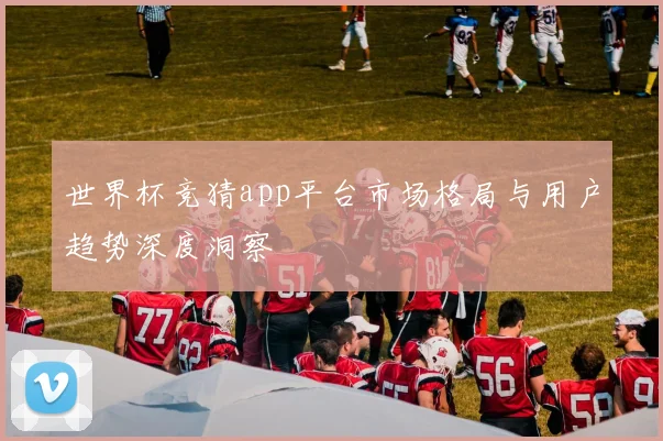世界杯竞猜app平台市场格局与用户趋势深度洞察