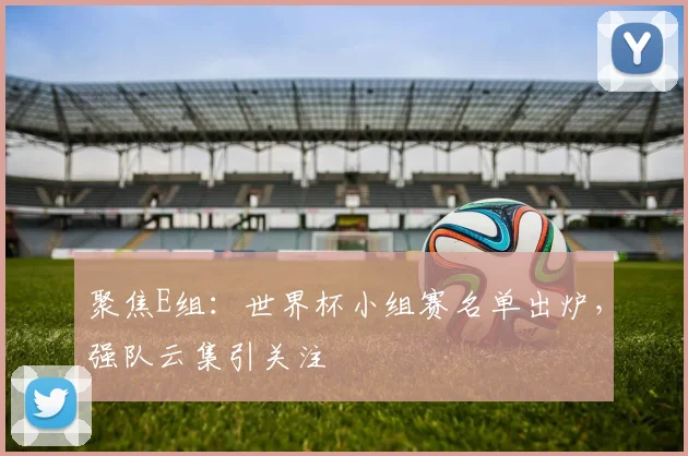 聚焦E组：世界杯小组赛名单出炉，强队云集引关注