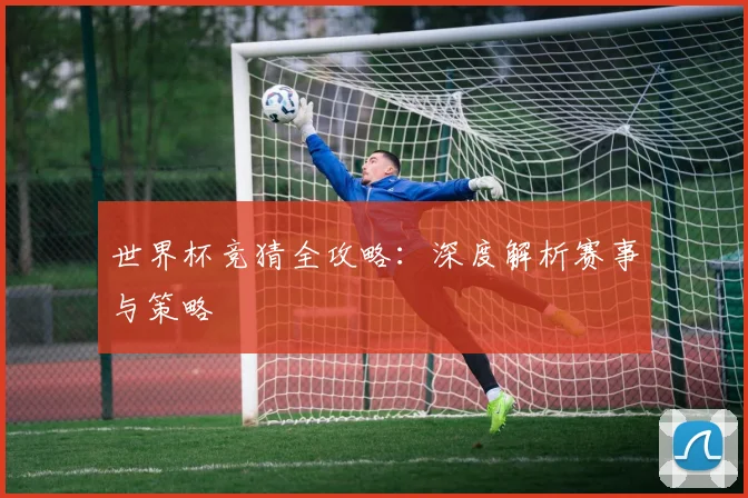 世界杯竞猜全攻略：深度解析赛事与策略