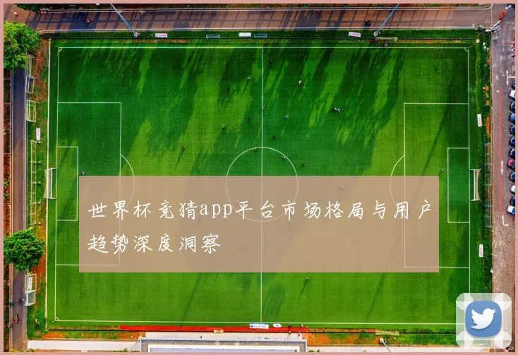 世界杯竞猜app平台市场格局与用户趋势深度洞察