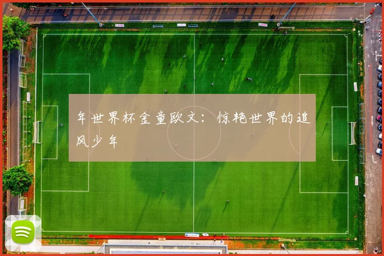 年世界杯金童欧文:惊艳世界的追风少年