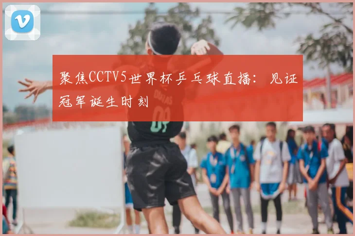 聚焦CCTV5世界杯乒乓球直播：见证冠军诞生时刻