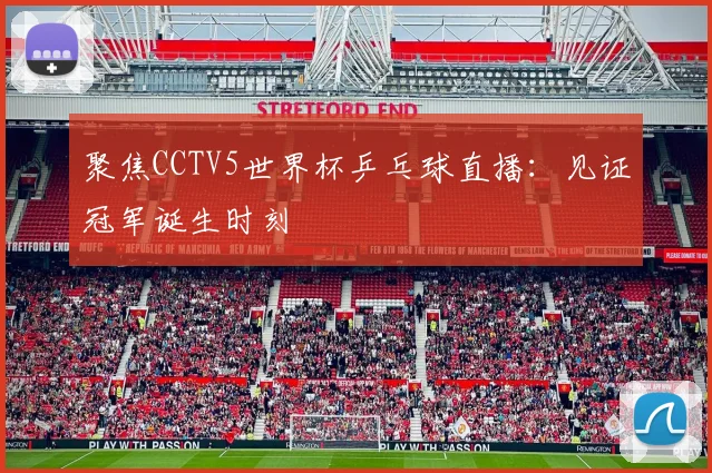 聚焦CCTV5世界杯乒乓球直播：见证冠军诞生时刻