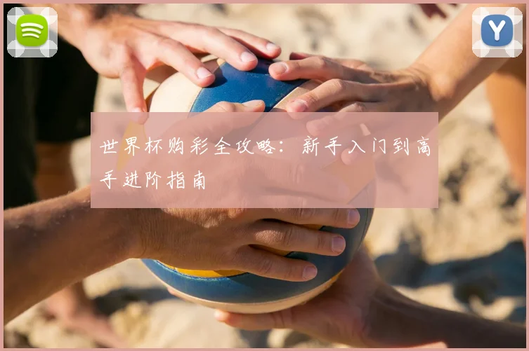 世界杯购彩全攻略:新手入门到高手进阶指南
