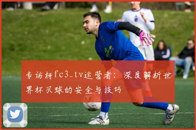 专访柯fc3_tv运营者:深度解析世界杯买球的安全与技巧